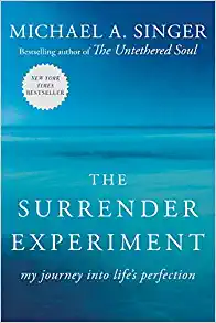 The Surrender Experiment: My Journey into Life's Perfection: by Michael A. Singer
